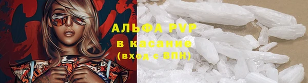 крисы Алексин