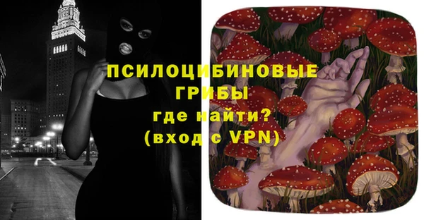 крисы Алексин